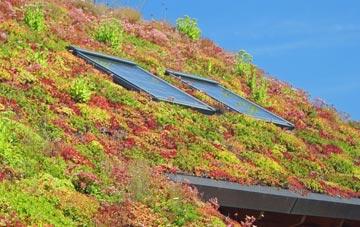 Cornbank living roof systems