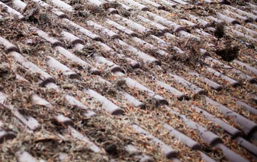 Cornbank roof cleaning companies