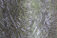 Cornbank fibreglass roof work